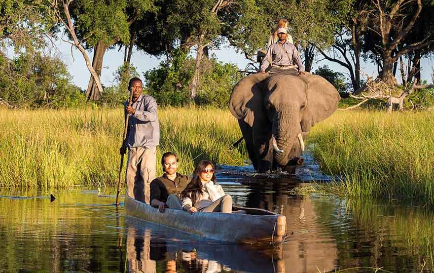 time-to-visit-africa