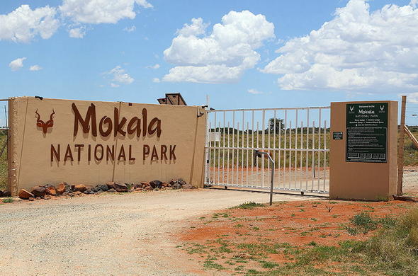 mokala-national-park