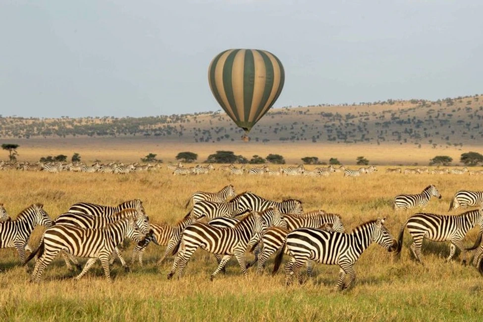 balloon-safari