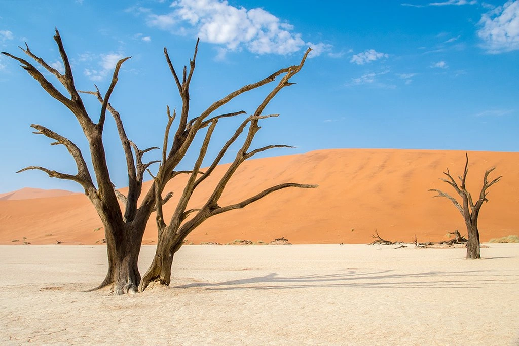 Strange-Climate-in-Namib-Desert