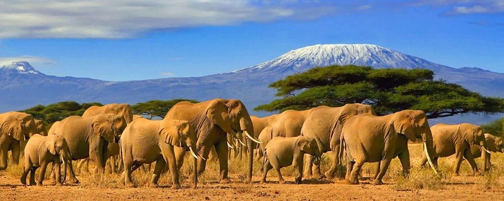 Tanzania-tourist-attractions